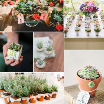 2014-trending-fall-wedding-favors-with-cute-plants