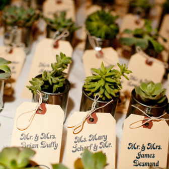 succulent-plant-hand-stamped-place-escort-cards3