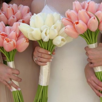 tulips-pink-white-bouquet